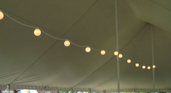 String lights, large globe lights (hold standard sized light bulbs 45 watts per) (price per ...