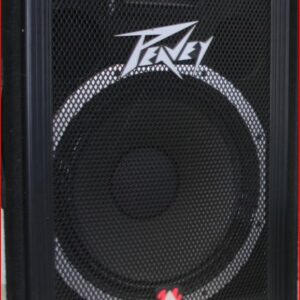 Large Peavey Speaker