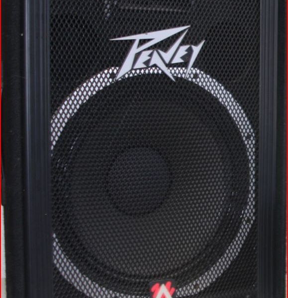 Large Peavey Speaker