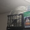White rope lights, 25ft - Image 2