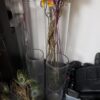 3ft Tall Cylinder Vases - Image 2